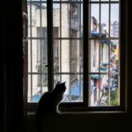 Wymiana okien w mieszkaniu własnościowym – na co zwrócić uwagę?