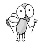 Czarne muszki w kuchni na suficie – skąd się biorą i jak się ich pozbyć?